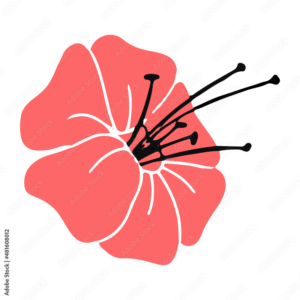 Simple flower Summer plants. Vector illustration isolated on a white background. Simple flower Summer plants. Vector illustration isolated on a white background.