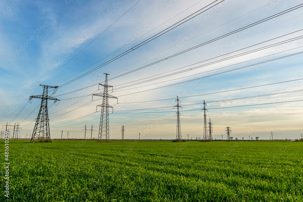 power lines in the spring in a green wheat field power lines in the spring in a green wheat field