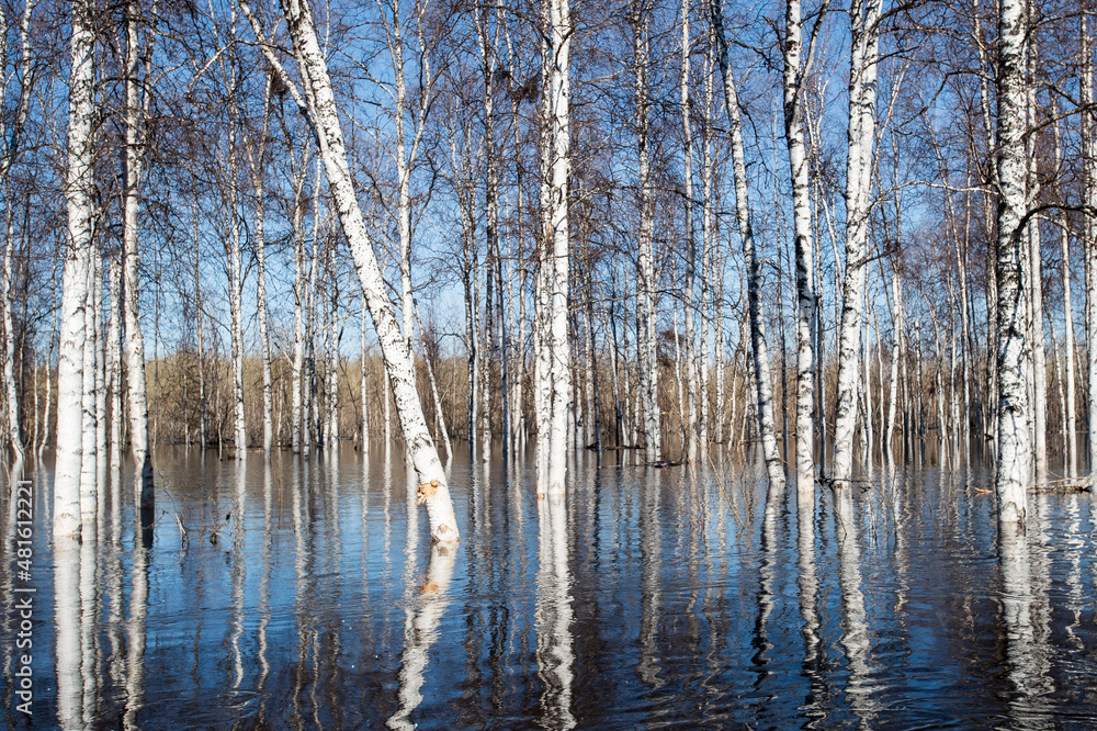spring flood in the forest spring flood in the forest