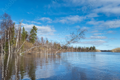 Fototapeta Naklejka Na Ścianę i Meble -  spring flood in the forest