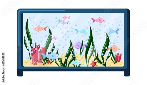 Aquarium isolated on white background. Beautiful tanks fish, algae, corals, bubbles.