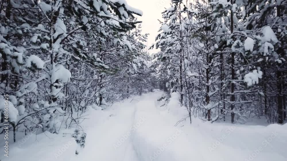 Snow on piView at snow road in a forest ne trees, empty road. High quality 4k footage Snow on piView at snow road in a forest ne trees, empty road. High quality 4k footage