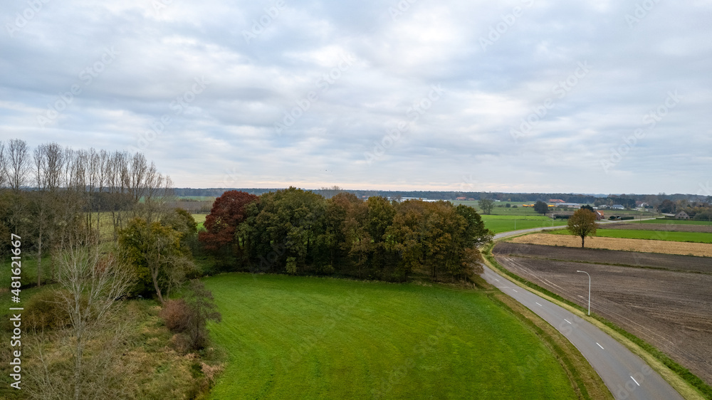 Autumn road near the corn field. Aerial view, drone shot. High quality photo