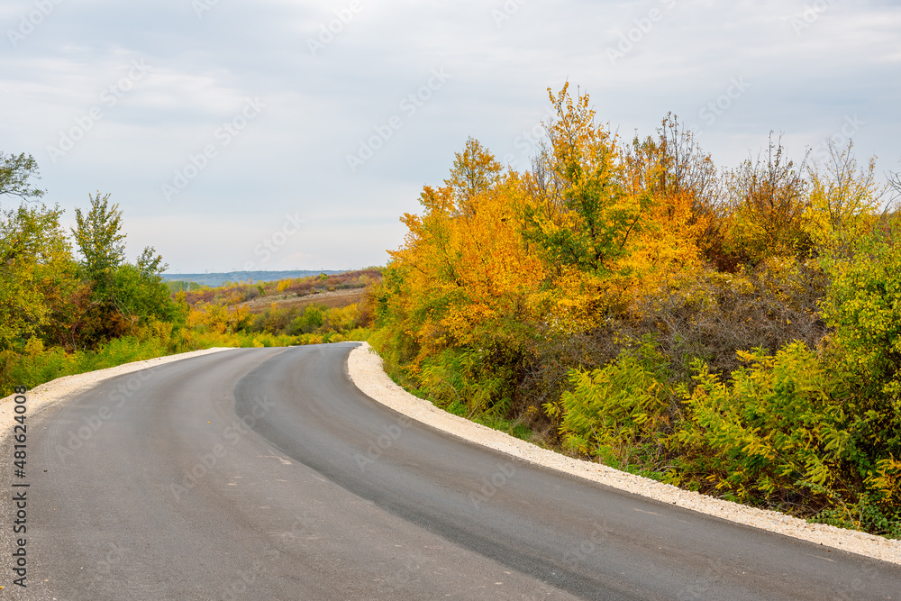 Asphalt road curve through autumn coloured vegetation.