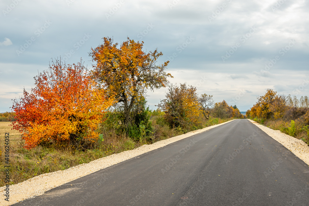 Straight countryside asphalt road in autumn.