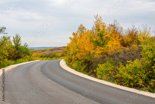 Asphalt road curve through autumn coloured vegetation.
