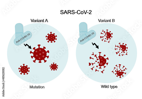 Comparison of Anti-COVID-19 drug (Medicine) to treat SARS-CoV-2 : Different variants (Wild type and Mutation)