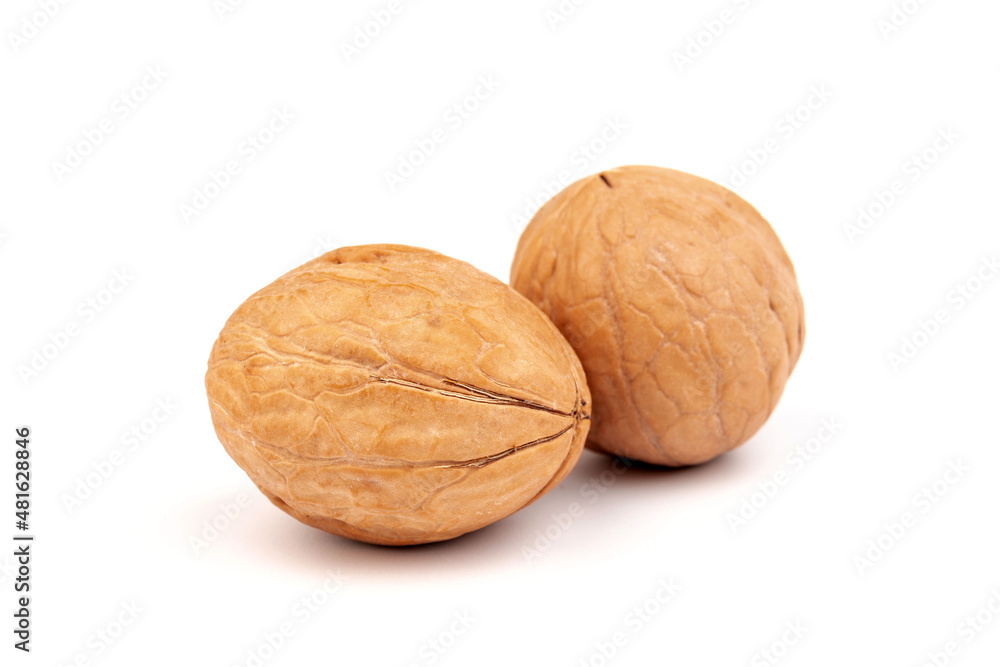 Walnuts in shells isolated on white background. Package design element with clipping path. Walnuts in shells isolated on white background. Package design element with clipping path.