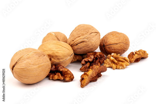 Walnuts in shells isolated on white background. Package design element with clipping path.