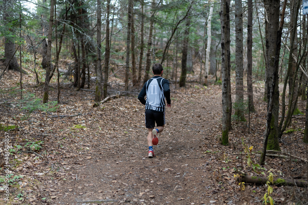 Obraz premium person walking in the woods