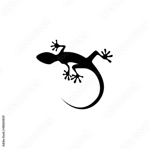 lizard on a branch © Jtabassum