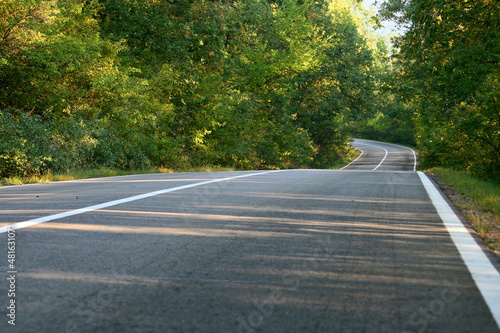 Road through the forest - road to the woods