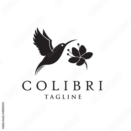 icon of flying colibri and flower isolated on white background
