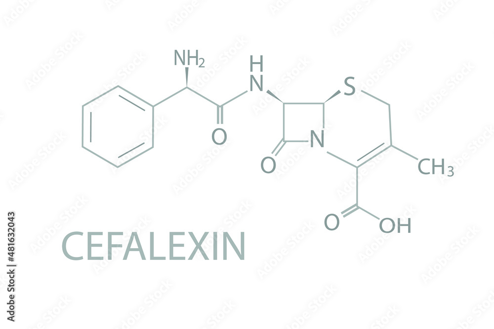 Cefalexin molecular skeletal chemical formula.	