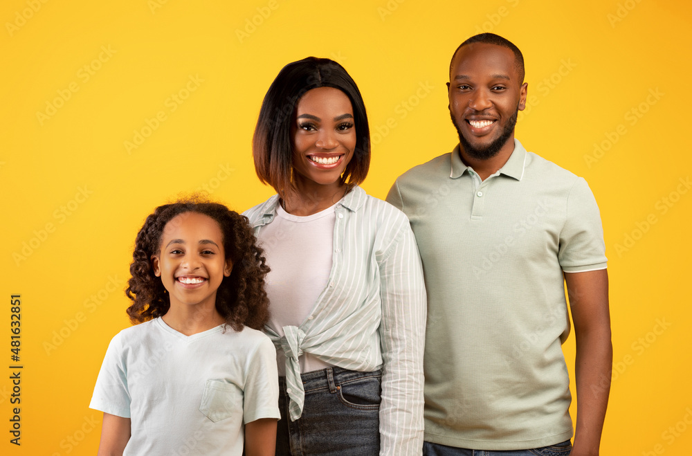 People, family portait concept. Happy african american man, woman and girl posing for photo and smiling to camera People, family portait concept. Happy african american man, woman and girl posing for photo and smiling to camera