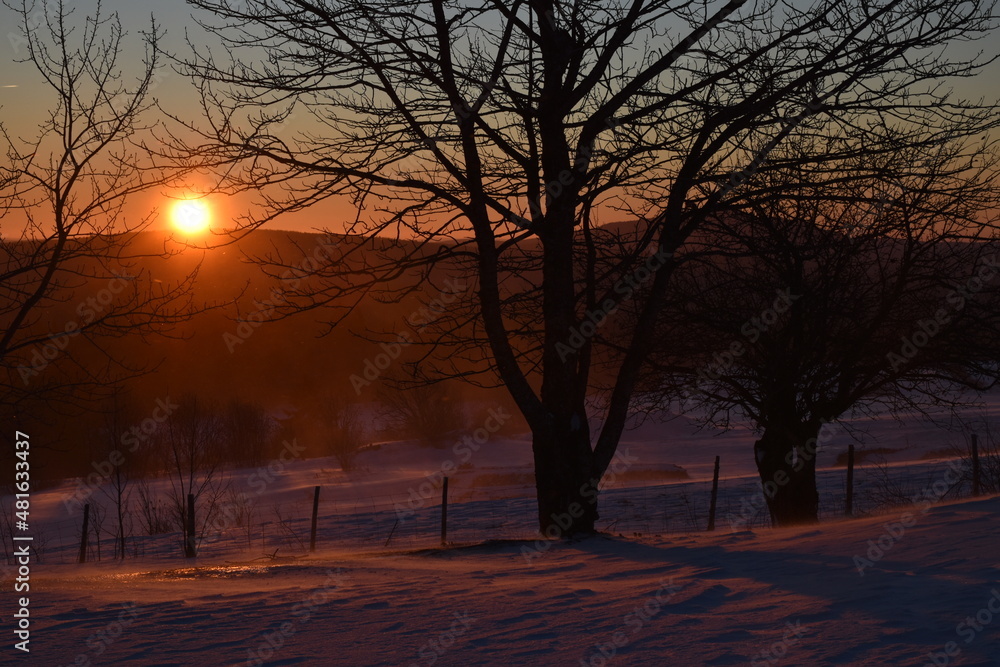 A sunrise on a cold morning, Sainte-Apolline, Québec, Canada A sunrise on a cold morning, Sainte-Apolline, Québec, Canada