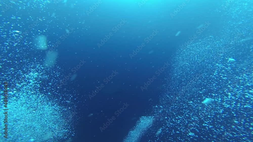 Drawings of diving in the Red Sea Drawings of diving in the Red Sea