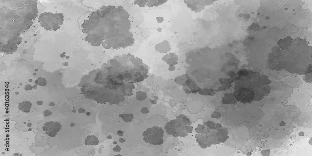Gray concrete wall as background or texture. Texture of the Concrete Wall. Abstract Background. White stucco wall background. Paint leaks and ombre effects. Hand painted abstract image. Gray concrete wall as background or texture. Texture of the Concrete Wall. Abstract Background. White stucco wall background. Paint leaks and ombre effects. Hand painted abstract image.