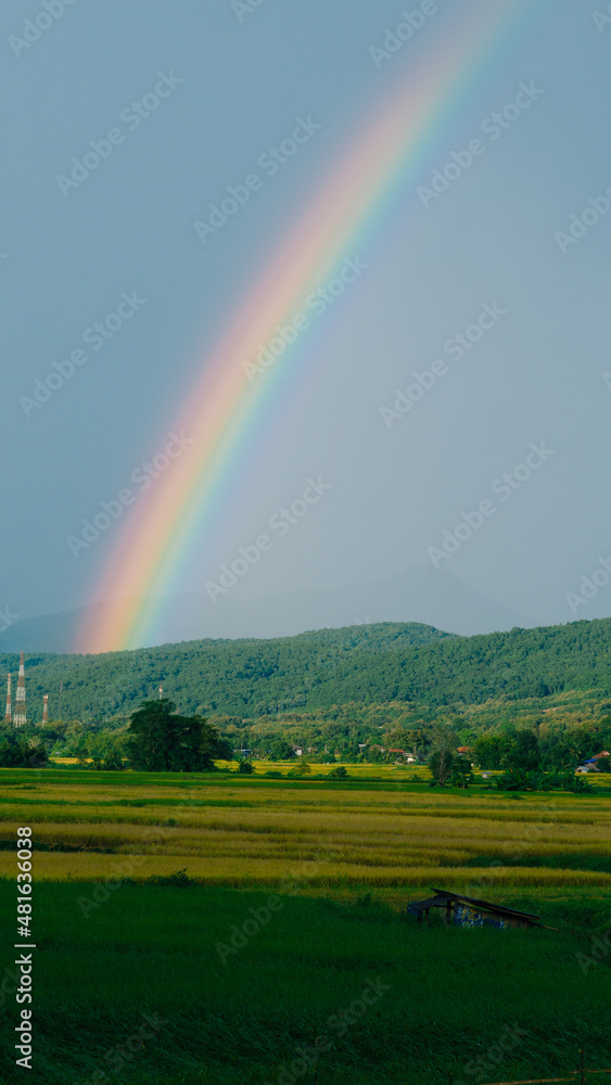 Rainbow at the end of the rice fields in Thailand Rainbow at the end of the rice fields in Thailand