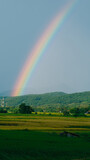 Rainbow at the end of the rice fields in Thailand