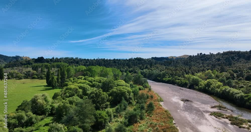 Aerial over two contrasting riverbank forests, summer deciduous and evergreen Aerial over two contrasting riverbank forests, summer deciduous and evergreen