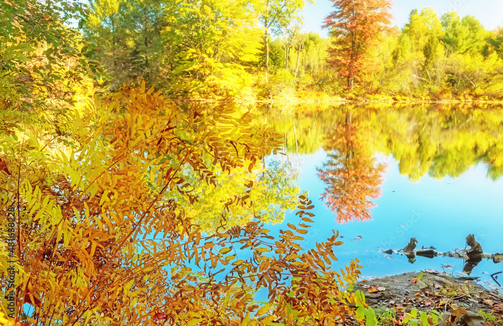 Sunny warm autumn day on the lake. Colorful yellow and orange trees by the lake. USA. Maine.
