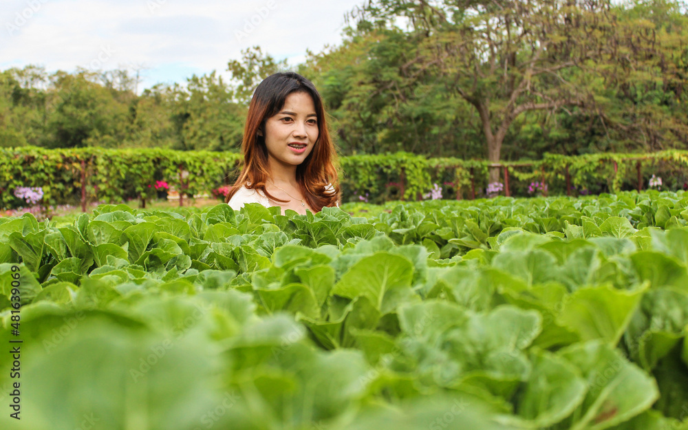 Asian woman in organic vegetable garden Asian woman in organic vegetable garden