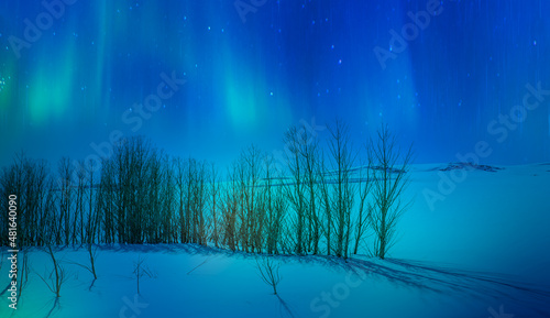 Fantastic winter landscape with pine tree in snowy mountains and northen light in the sky