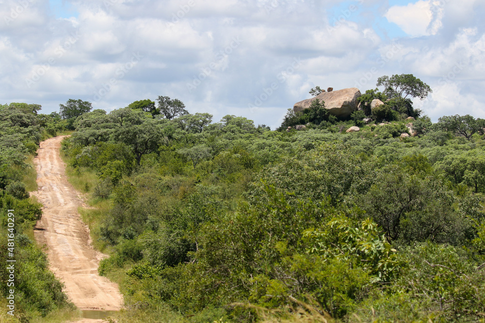 Kruger National Park scenery and landscape