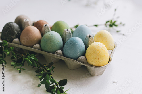 Stylish Easter eggs and green branch on rustic white wooden background. Happy Easter! Natural dyed colorful eggs in tray and spring branches on rustic table