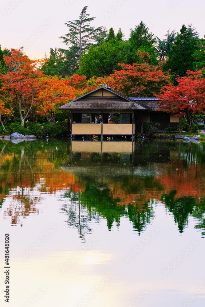 Japanese Garden in Autumn