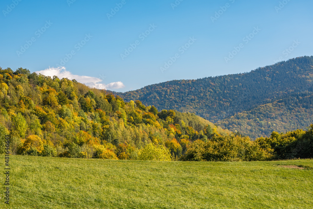 Autumn landscape on a sunny October day near the village of Vlkolinec, Carpathian Mountain, Slovakia. 