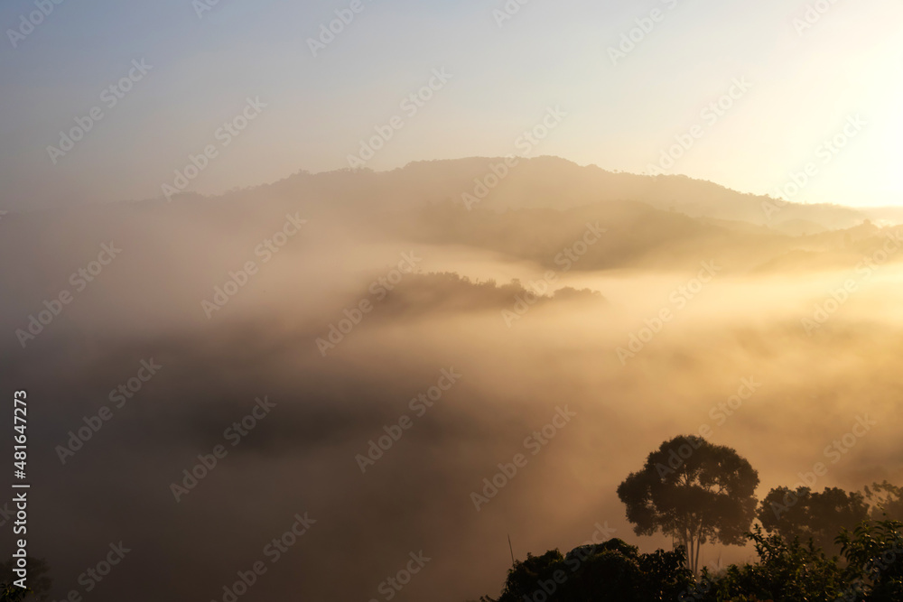 Fog with mountains in morning sunrise. Beautiful nature background.
