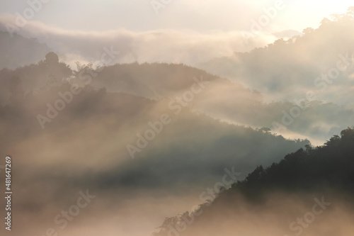 Fog with mountains in morning sunrise. Beautiful nature background. © pjjaruwan