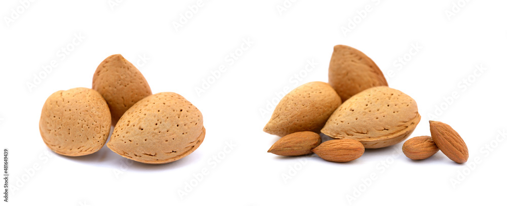 Heap of fresh almonds in shells isolated on white background Heap of fresh almonds in shells isolated on white background