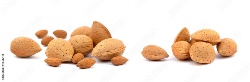 Heap of fresh almonds in shells isolated on white background Heap of fresh almonds in shells isolated on white background