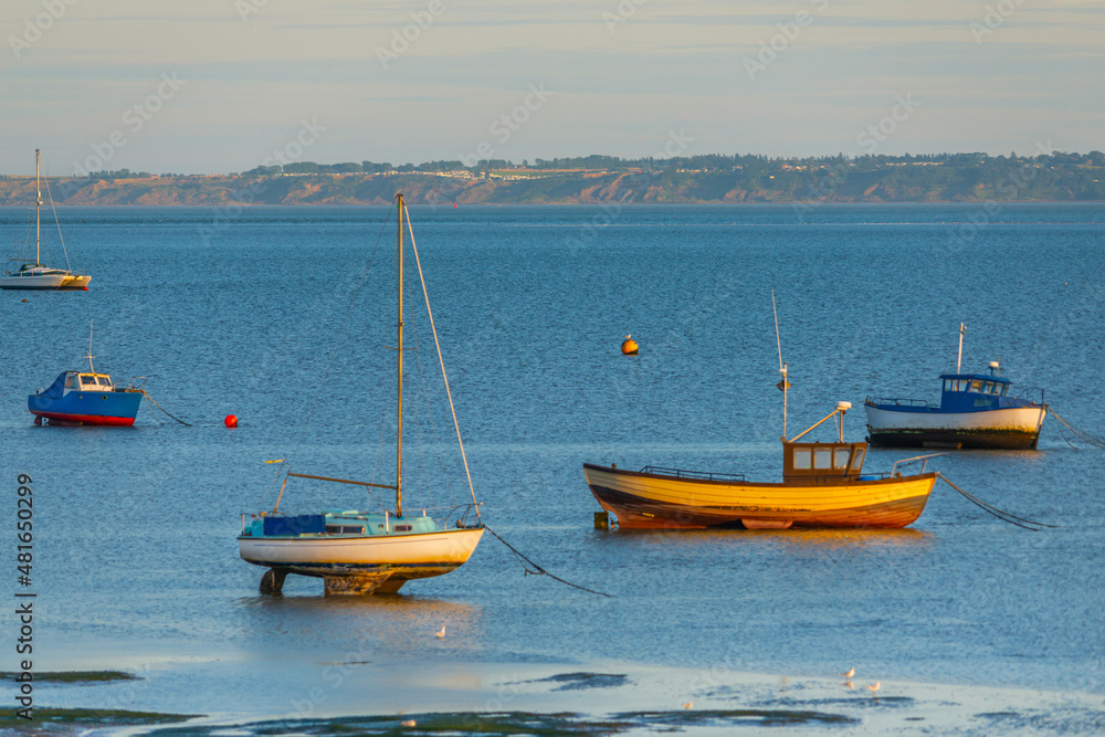 Fototapeta premium Moored boat illuminated by the rays of the setting sun on the shoal during low tide