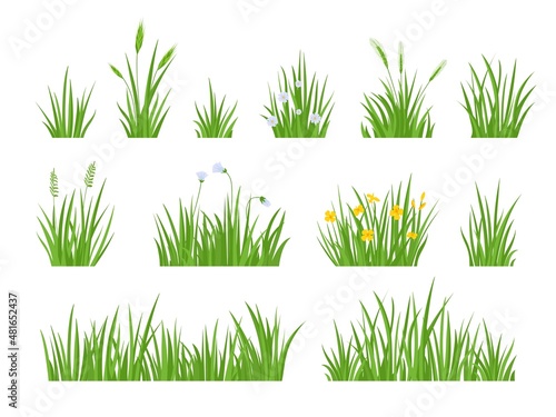 Cartoon green meadow grass with flower, herbs and spike ears. Spring garden lawn horizontal borders. Field fresh natural grass vector set
