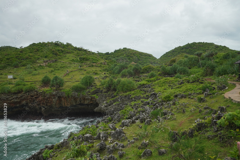 beautiful green cliff with sea view beautiful green cliff with sea view