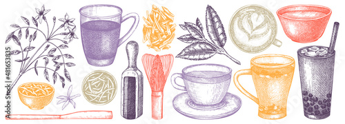 Hand-sketched green tea drinks and ingredients collection in color. Vector sketches of hot beverage cups, dried leaves, jasmine blossoms. Popular tea drawings for cafe or restaurant menu design