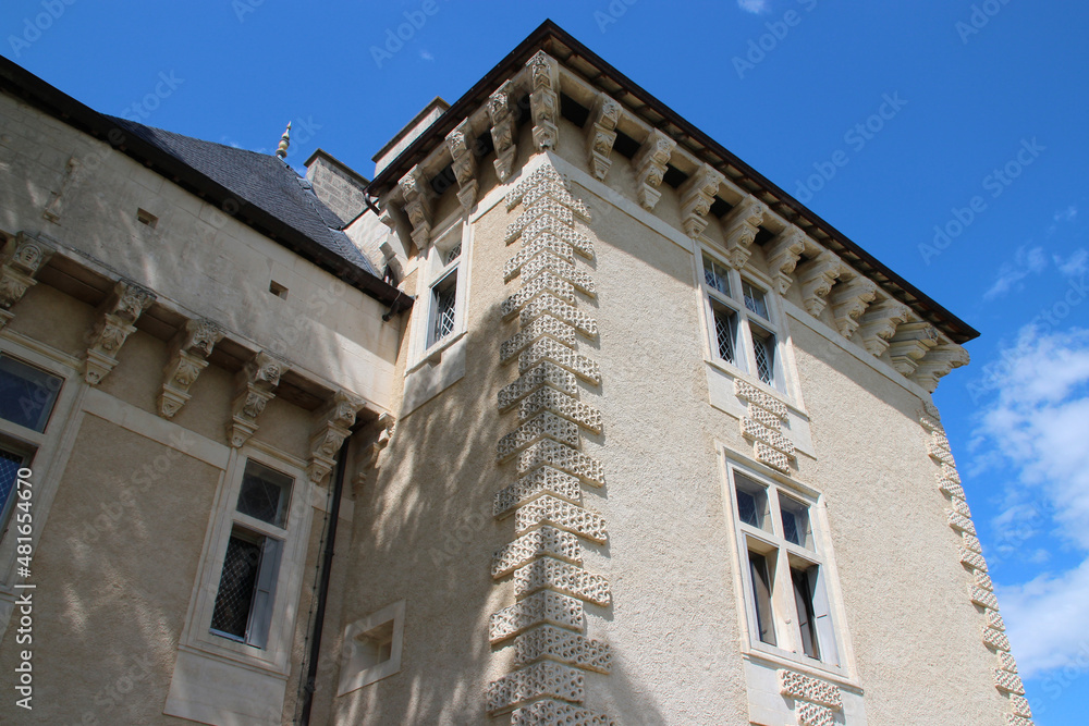 renaissance castle in montbras (france)