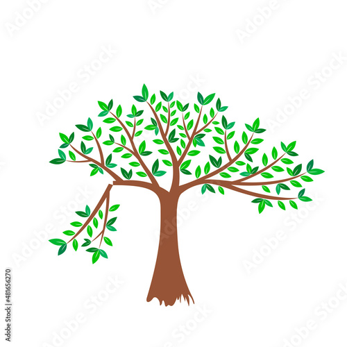 Vector tree. Broken branch. Vector illustration