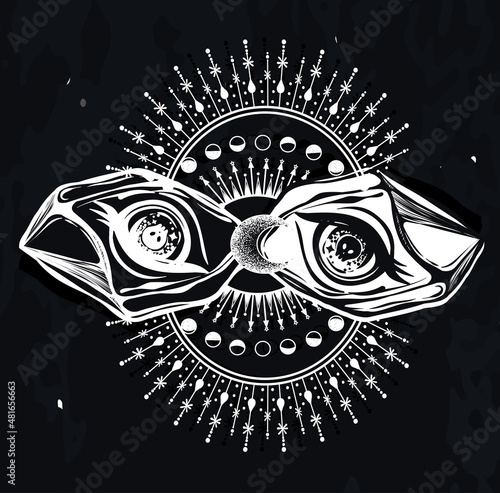 Vector illustration, magic eye in the crystal, spirituality and occultism, print, background  chalkboard, Handmade