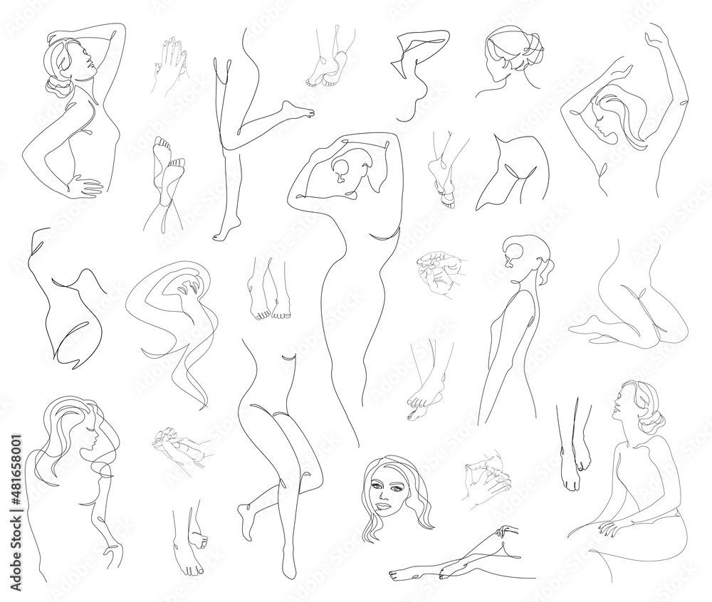 Collection. Silhouettes of the figure of a girl and a leaf of a plant in a modern one-line style. Solid line, aesthetic outline for home decor, posters, stickers, logo. Vector illustration set. Collection. Silhouettes of the figure of a girl and a leaf of a plant in a modern one-line style. Solid line, aesthetic outline for home decor, posters, stickers, logo. Vector illustration set.
