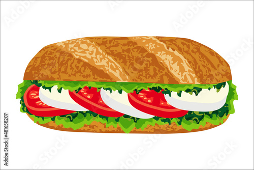 Illustration vectorielle d’un sandwich végétarien, salade, tomate et fromage de chèvre.
 photo