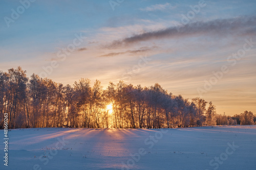sun sets behind trees, winter landscape