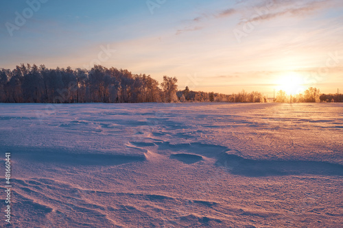 sun sets behind trees  winter landscape