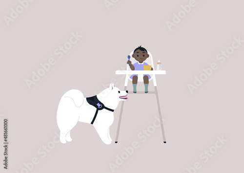 A toddler girl sitting in a kitchen baby chair and a Samoyed puppy waiting for the food leftovers, a lunchtime concept