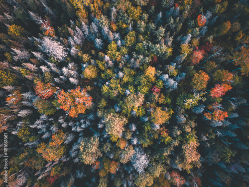 Autumn from the air in northern Ontario photo