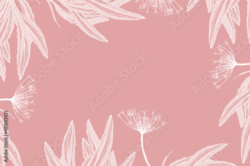 Ramka z białych liści na różowym tle.